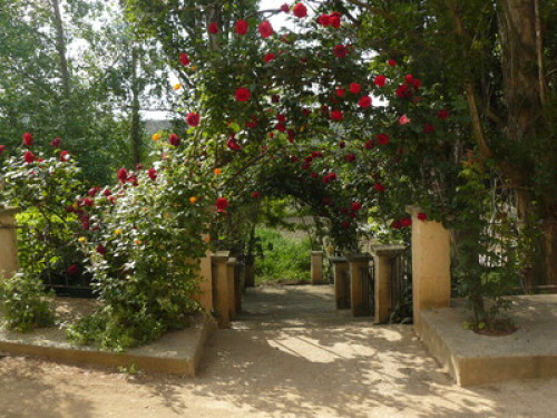 Casa rural Torre de Campos - Gallery - 17