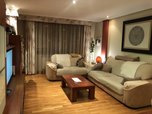 Live and learn Spanish as a family  - Gallery -  5