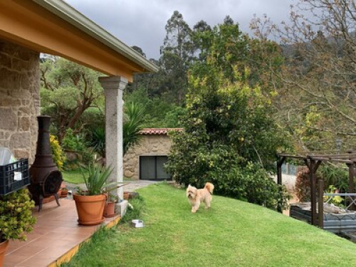 Family and cozy house