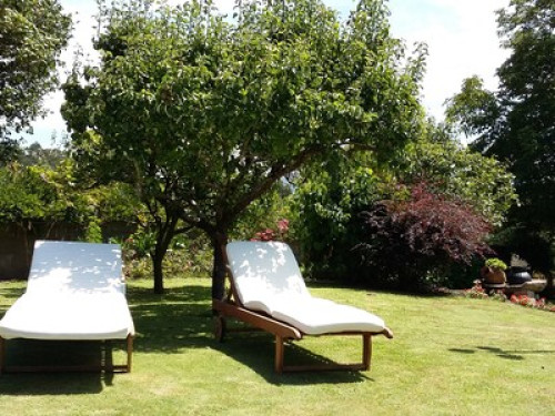 Clean, cozy, neat DECORATION