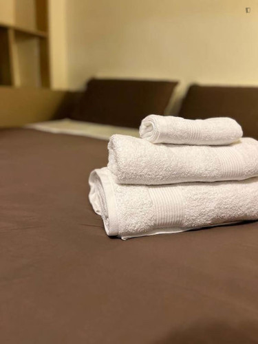 Charming studio near the Sapienza Università di Roma