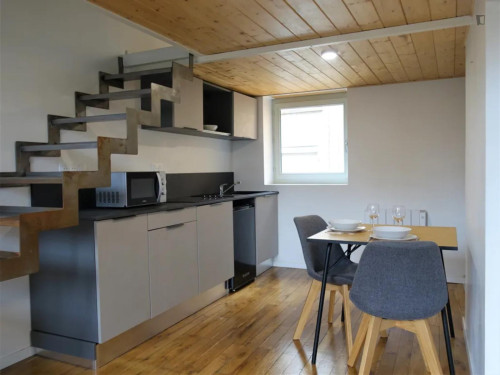 Pleasant studio Caluire-et-Cuire neighbourhood