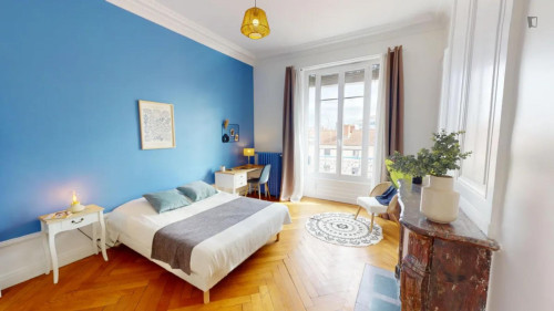 Brilliant double bedroom near Université Lumière Lyon 2