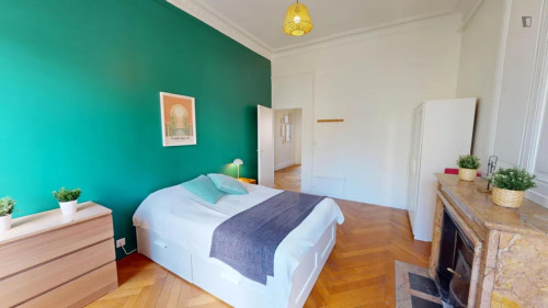 Beautiful double bedroom in the La Guillotière neighbourhood