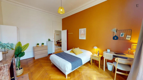 Interesting double bedroom in the La Guillotière neighbourhood
