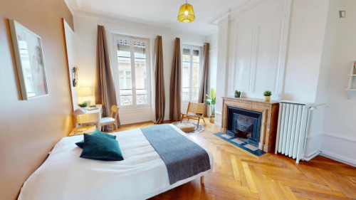 Large double bedroom near Université Lumière Lyon 2