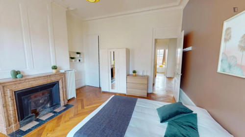 Large double bedroom near Université Lumière Lyon 2
