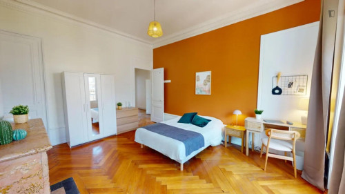 Large double bedroom near Université Lumière Lyon 2