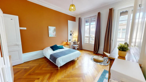 Large double bedroom near Université Lumière Lyon 2