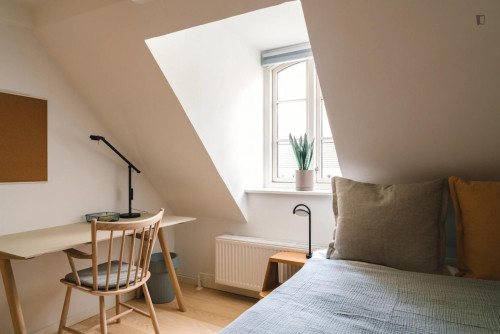 Beautiful double bedroom near Copenhagen University