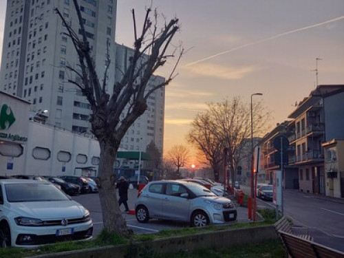 Yallowsingleroomforwoman