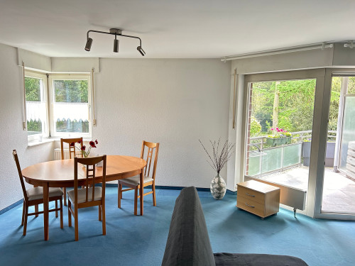 Fantastic apartment with Balcony in Duisburg Grossenbaum - Gallery - 11