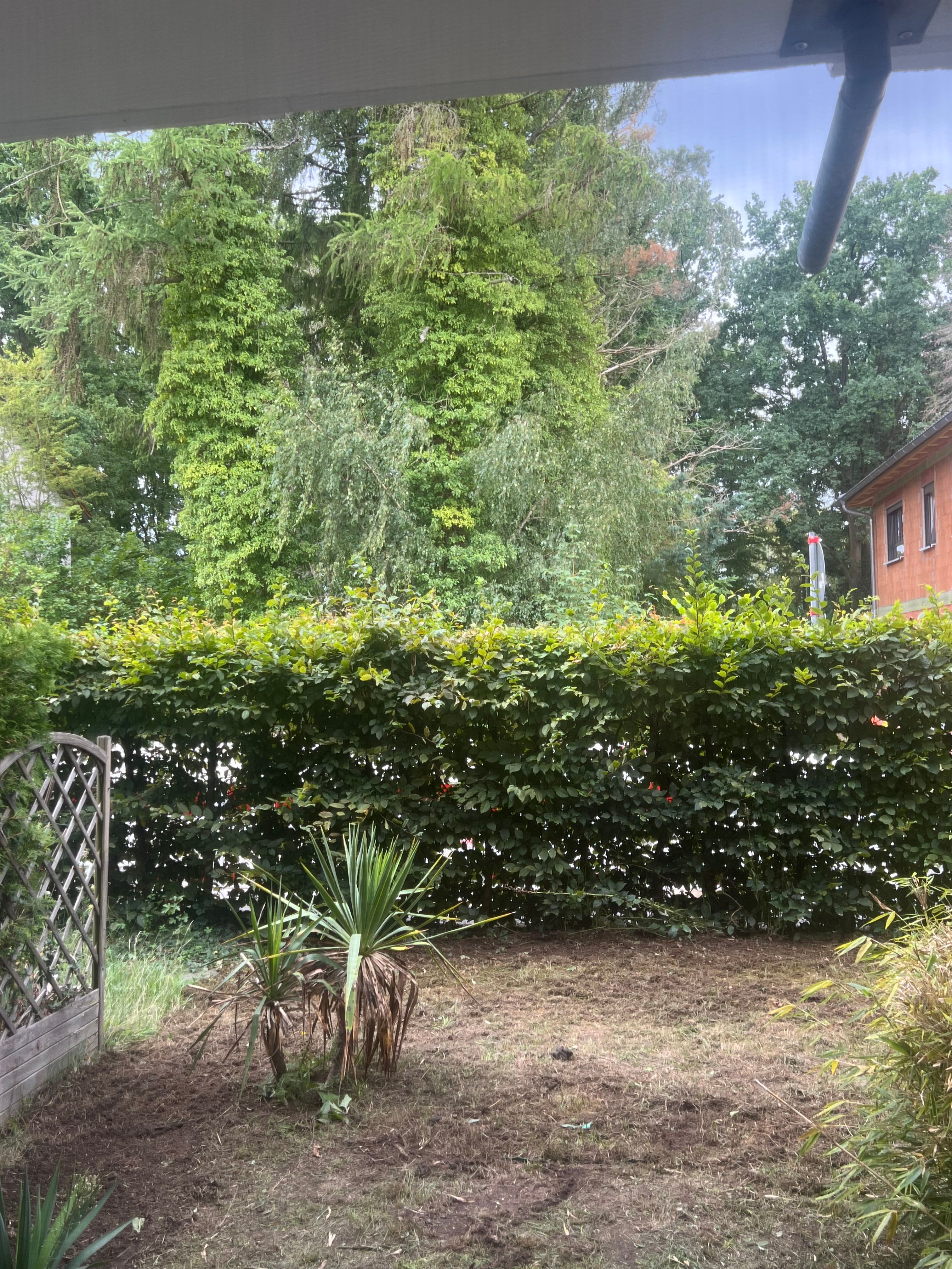 Möblierte 1-Zimmerwohnung Mit Garten In Erlangen-Sieglitzhof – 1.500 € Inkl. NK - Möblierte 1-Zimmerwohnung mit Garten in Erlangen-Sieglitzhof – 1.500 € inkl. NK - Gallery - 2