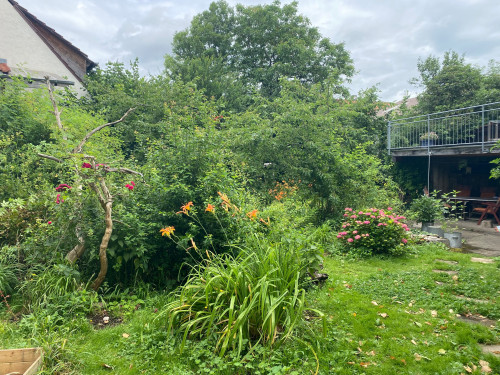 Furnished flat in old farmhouse in village center of Kirchentellinsfurt