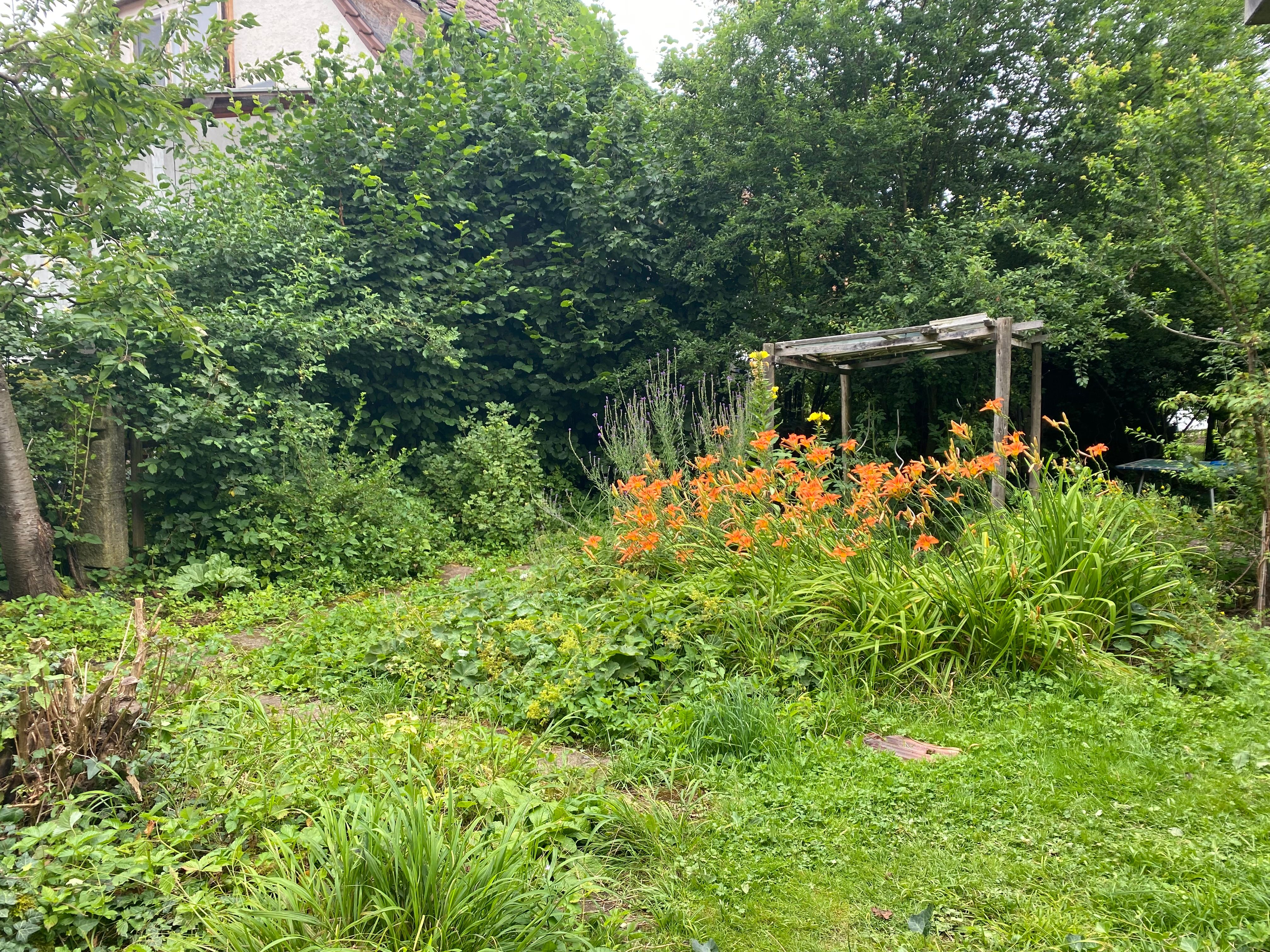 Furnished Flat In Old Farmhouse In Village Center Of Kirchentellinsfurt - Furnished flat in old farmhouse in village center of Kirchentellinsfurt - Gallery - 4