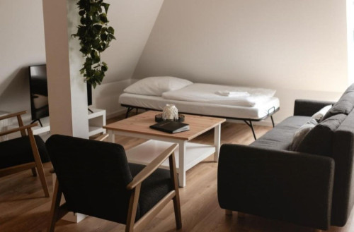 Beautiful & charming flat in Kinheim