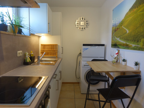 Exclusive cozy apartment in the of Franconia