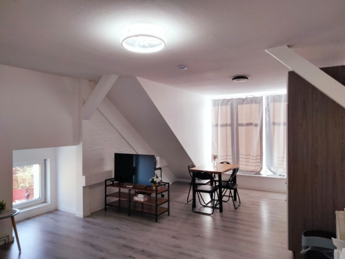 Neat, spacious apartment