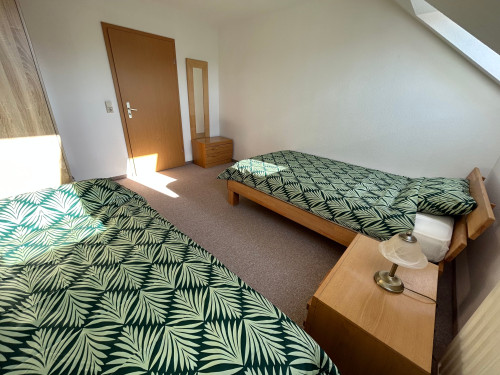 Fitter's apartment near the Pöhl dam in Vogtland - Gallery - 26