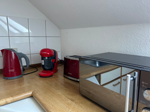 Fitter's apartment near the Pöhl dam in Vogtland - Gallery - 14