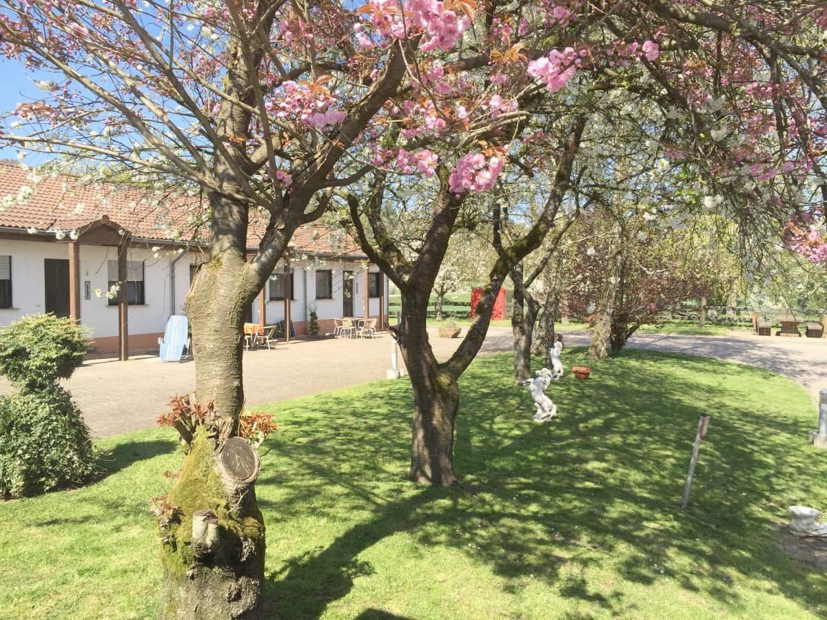  Relaxation And Pure Nature In A Charming Apartment On The Horse Farm In Merzig  -  Relaxation and pure nature in a charming apartment on the horse farm in Merzig  - Gallery -  10