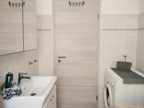 Charming, new loft (Roßwein)