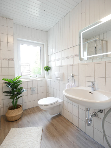 Cozy apartment in a central location | Netflix