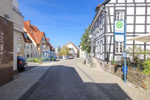 Green Forest - Teutoburger Wald Bielefeld