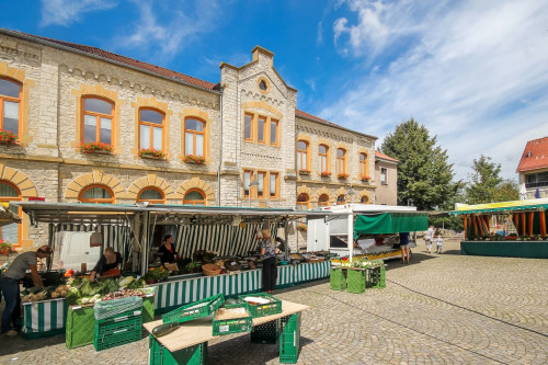 Green Forest - Teutoburger Wald Bielefeld
