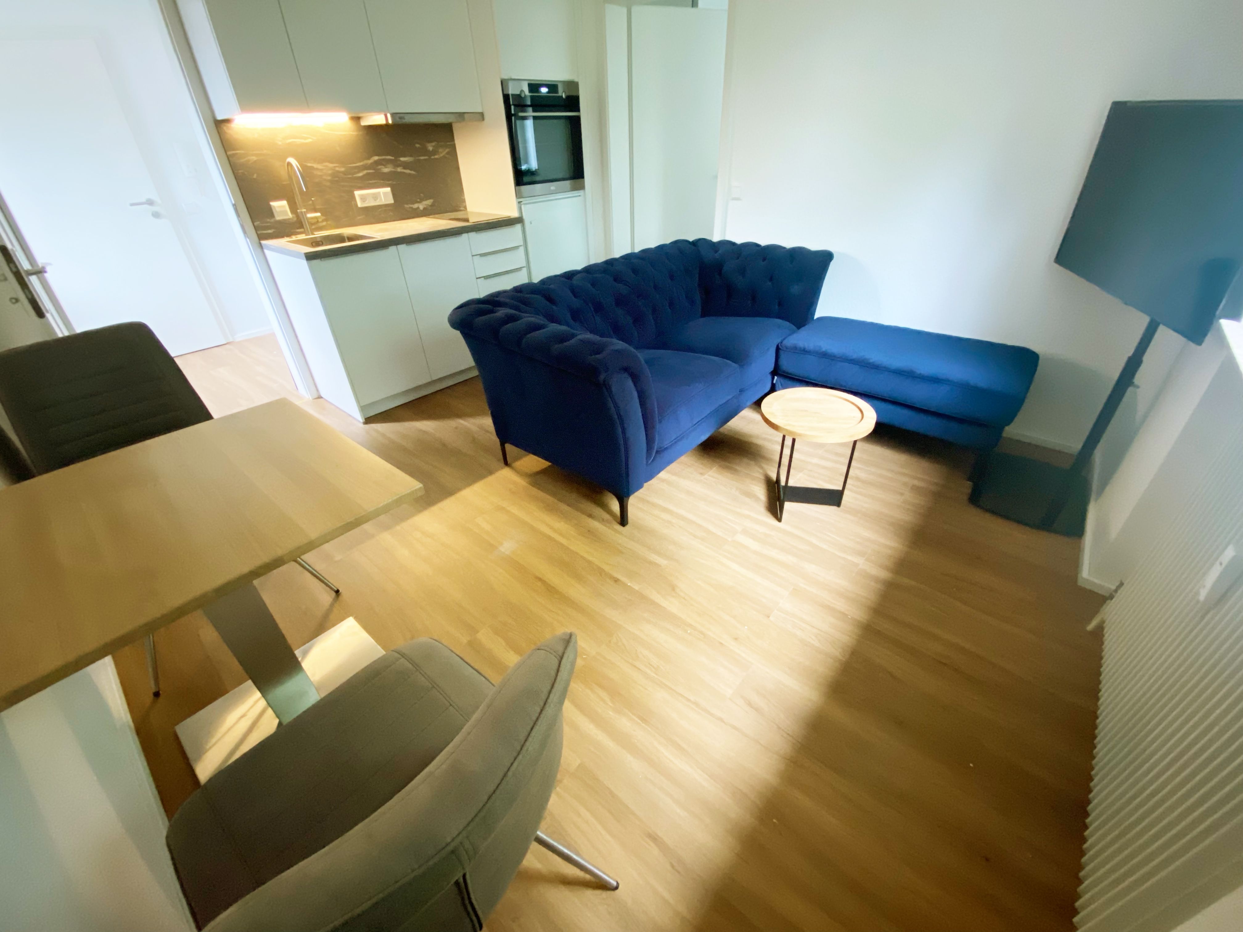  Möblierte 1,5-Zimmer-Wohnung Mit EBK In Wangen Im Allgäu  -  Möblierte 1,5-Zimmer-Wohnung mit EBK in Wangen im Allgäu  - Gallery -  3