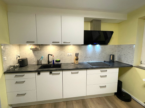 Charming, awesome Rental Opportunity for Expats (near wonderful Rhine RIver) fully equipped - just arrive with suitcaseme home (Bonn)