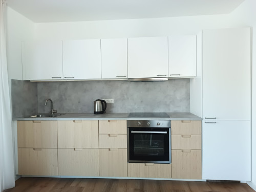 Chic & modern two room flat with sunny balcony near Offenburg, Lahr & Strasbourg - Gallery - 23