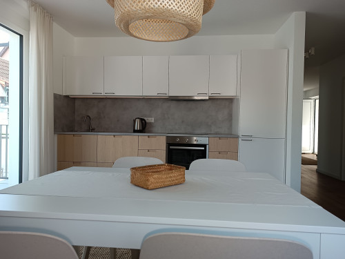 Chic & modern two room flat with sunny balcony near Offenburg, Lahr & Strasbourg
