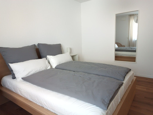 Chic & modern two room flat with sunny balcony near Offenburg, Lahr & Strasbourg - Gallery - 34