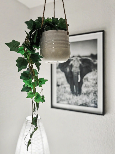 Stylish & Cosy Apartment direct in the city