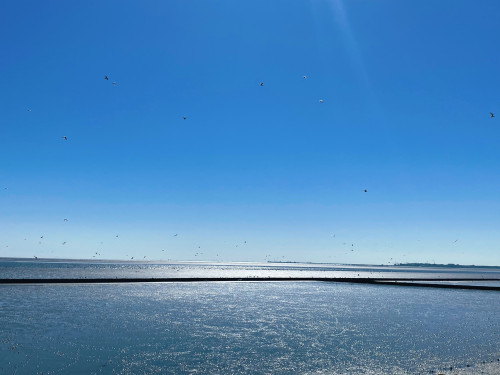 Sunny balcony, beach chair, and great location! NEW: Fast charging station right at your doorstep!  - Gallery -  5