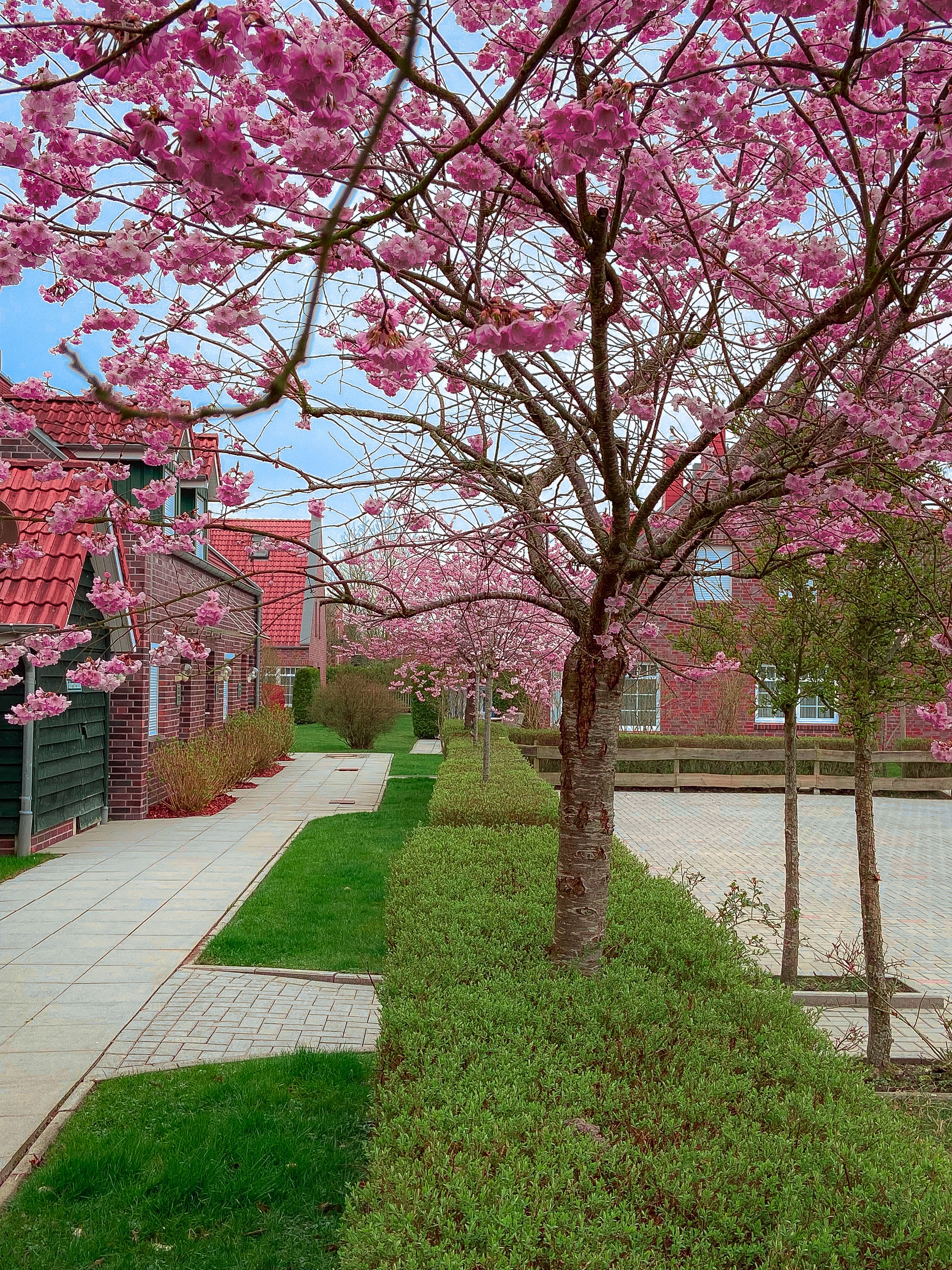 Sunny Balcony, Beach Chair, And Great Location! NEW: Fast Charging Station Right At Your Doorstep! - Sunny balcony, beach chair, and great location! NEW: Fast charging station right at your doorstep! - Gallery - 10