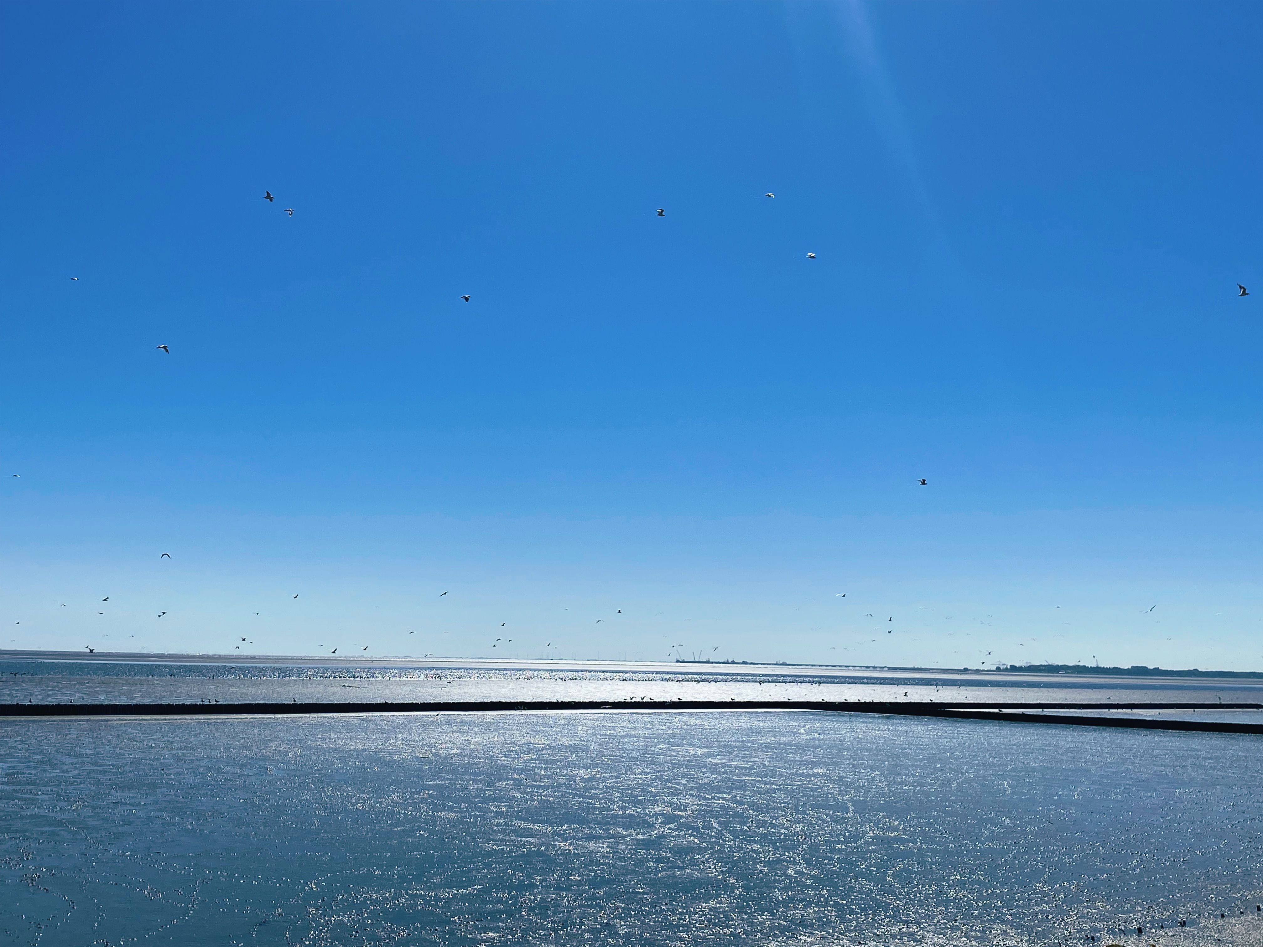  Sunny Balcony, Beach Chair, And Great Location! NEW: Fast Charging Station Right At Your Doorstep!  -  Sunny balcony, beach chair, and great location! NEW: Fast charging station right at your doorstep!  - Gallery -  5