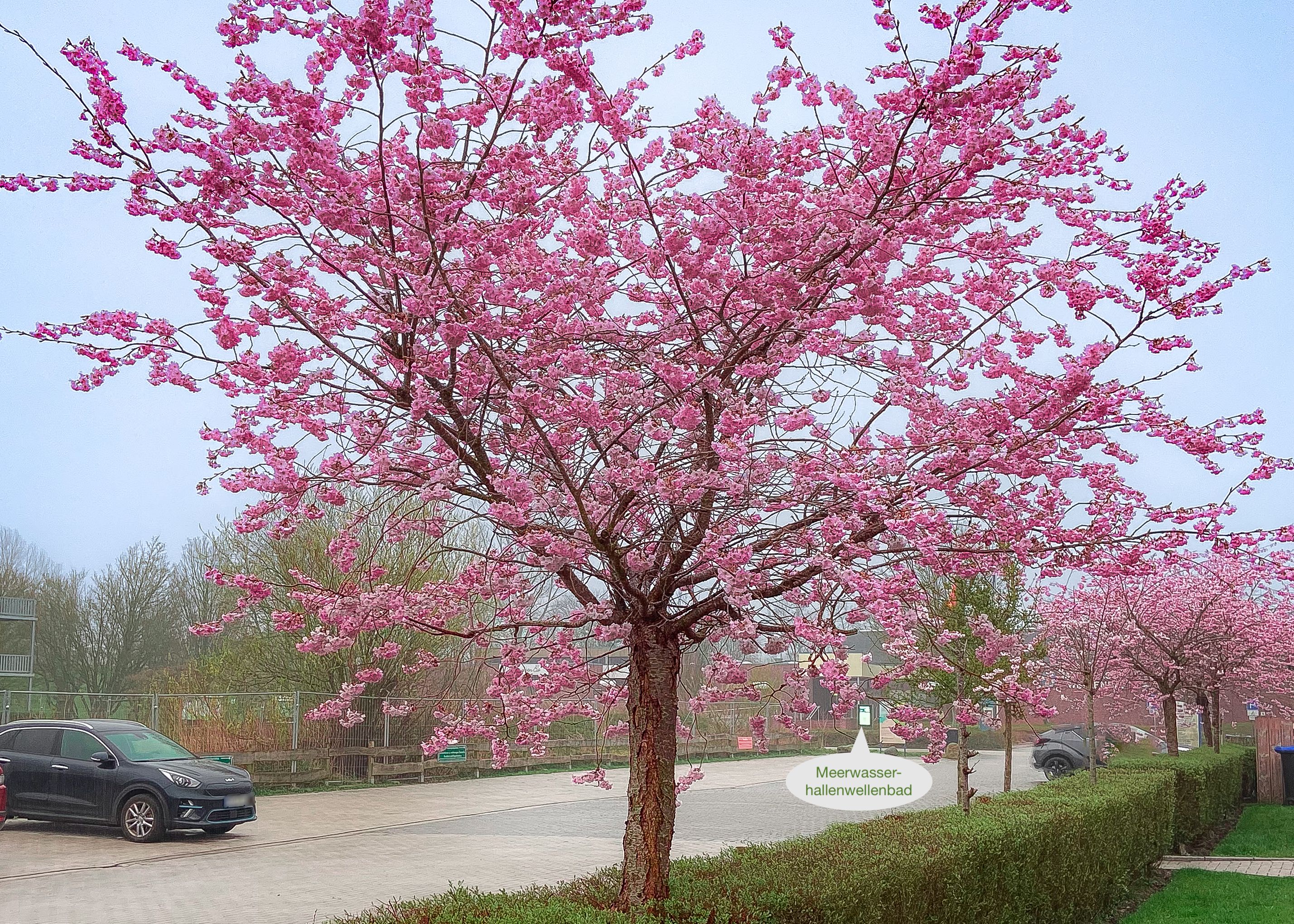  Sunny Balcony, Beach Chair, And Great Location! NEW: Fast Charging Station Right At Your Doorstep!  -  Sunny balcony, beach chair, and great location! NEW: Fast charging station right at your doorstep!  - Gallery -  9