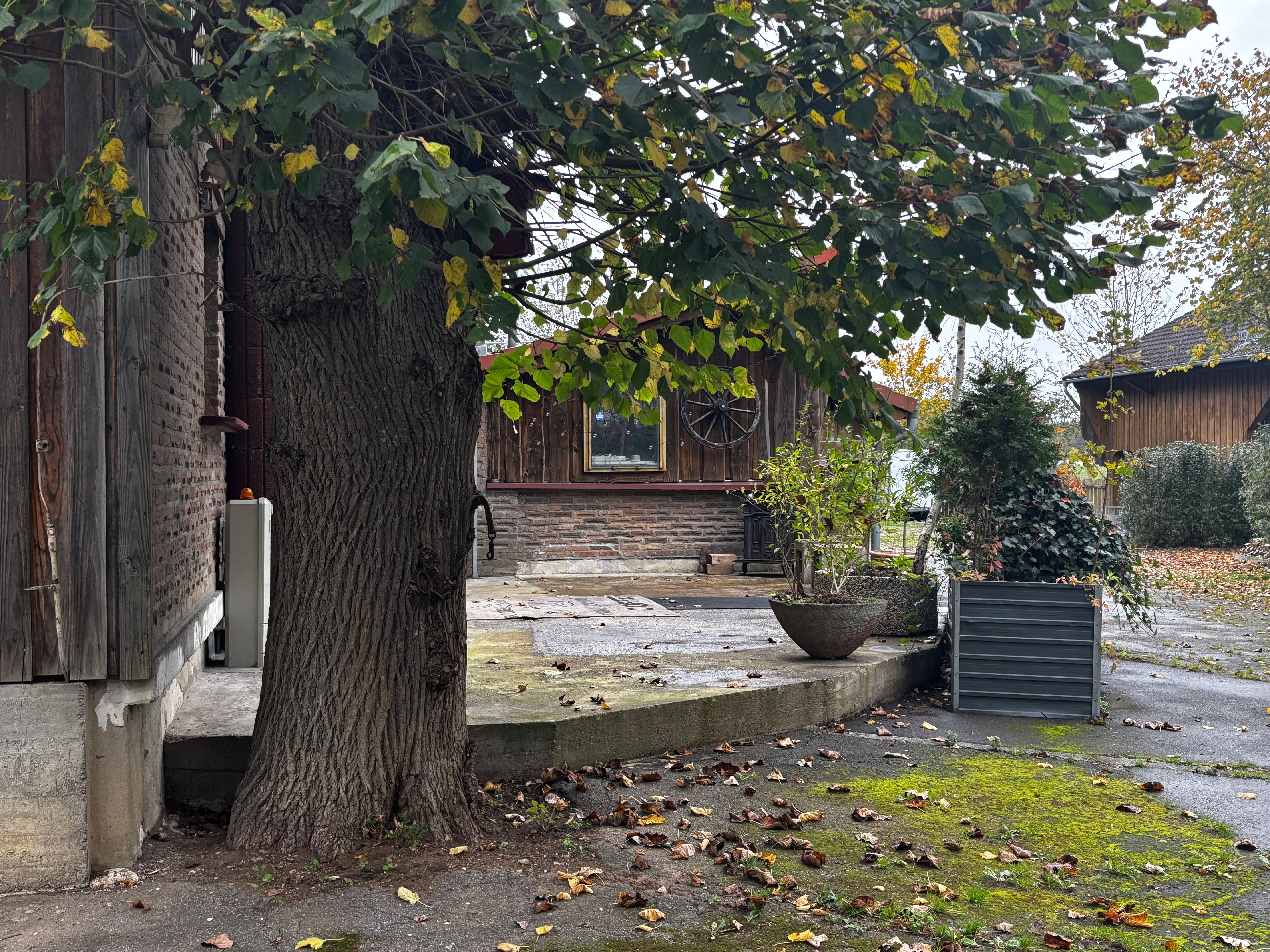  Modern & Stylish Home In A Quiet Location  -  Modern & stylish home in a quiet location  - Gallery -  2