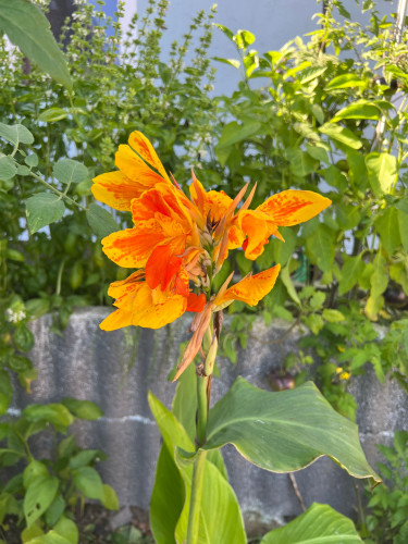 Perfect, cozy flat in Lauchhammer