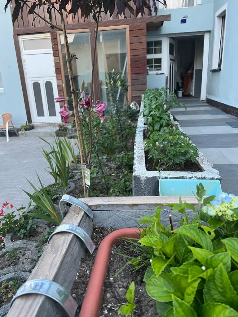  Perfect, Cozy Flat In Lauchhammer  -  Perfect, cozy flat in Lauchhammer  - Gallery -  12