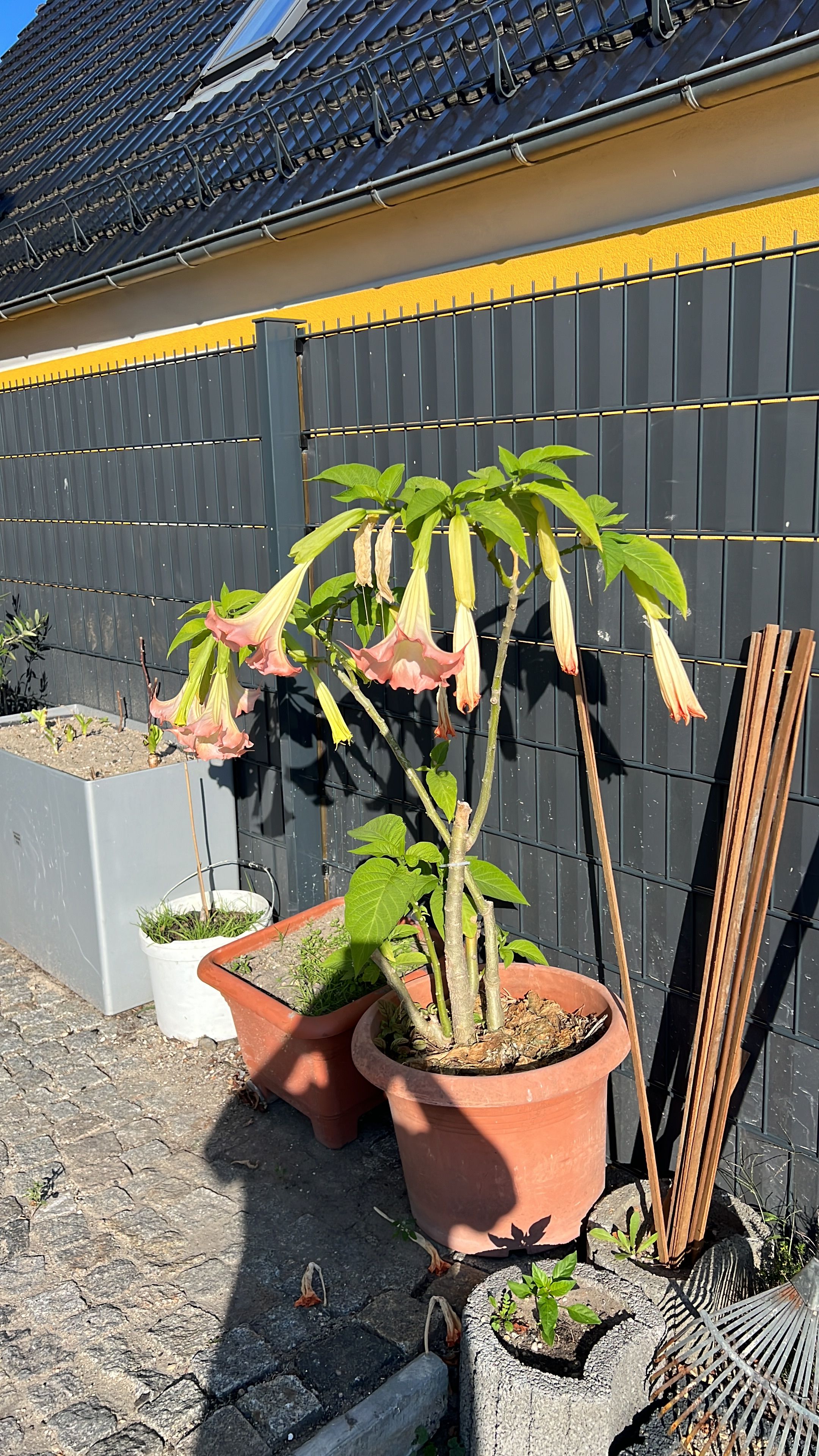  Perfect, Cozy Flat In Lauchhammer  -  Perfect, cozy flat in Lauchhammer  - Gallery -  18