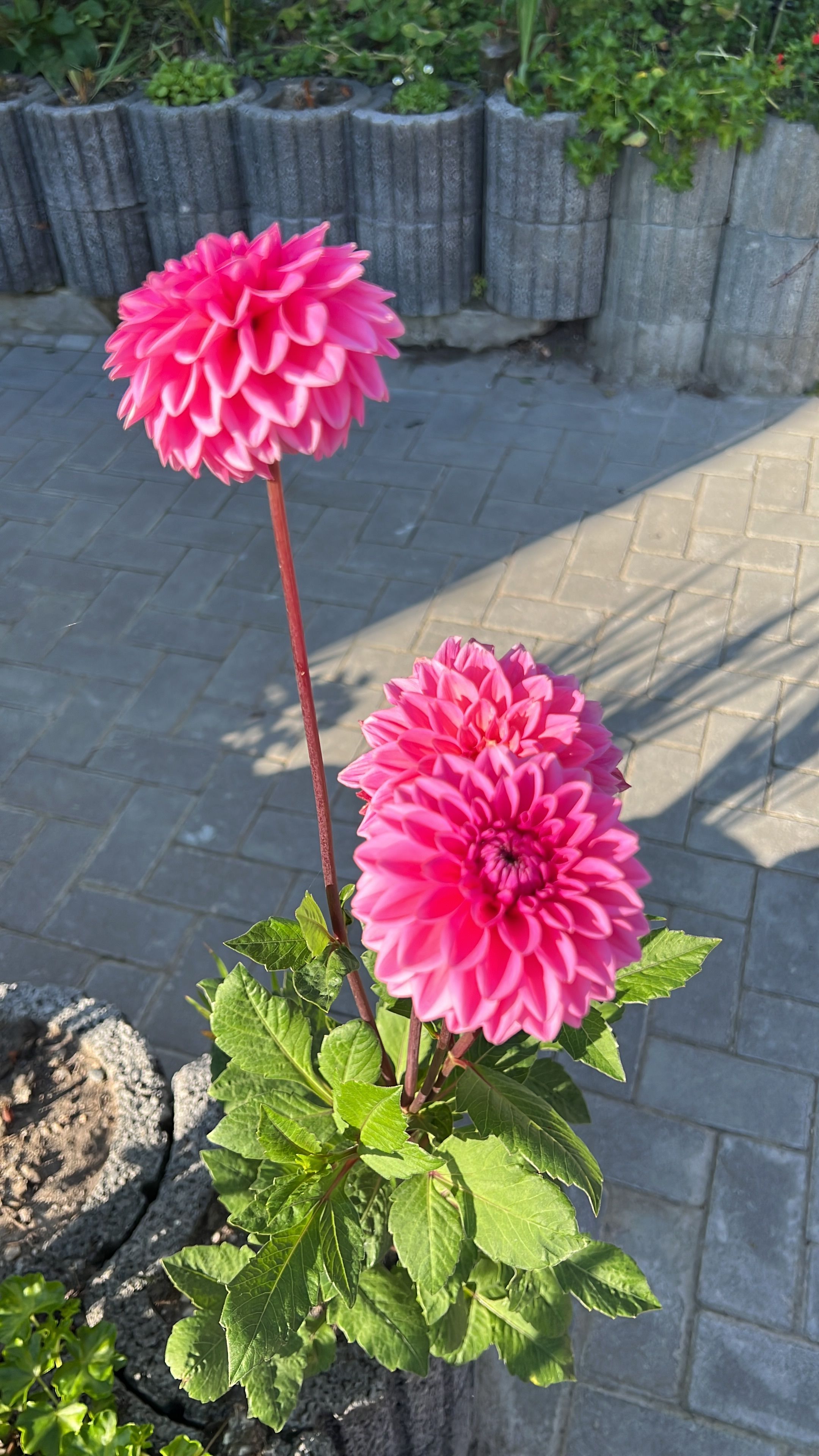  Perfect, Cozy Flat In Lauchhammer  -  Perfect, cozy flat in Lauchhammer  - Gallery -  4