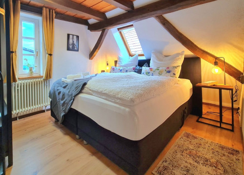 AVAHOME: Loft style apartment for 4 in Kandel / near Karlsruhe, WiFi, Netflix, kitchen, washer-dryer, parking space - Gallery - 25