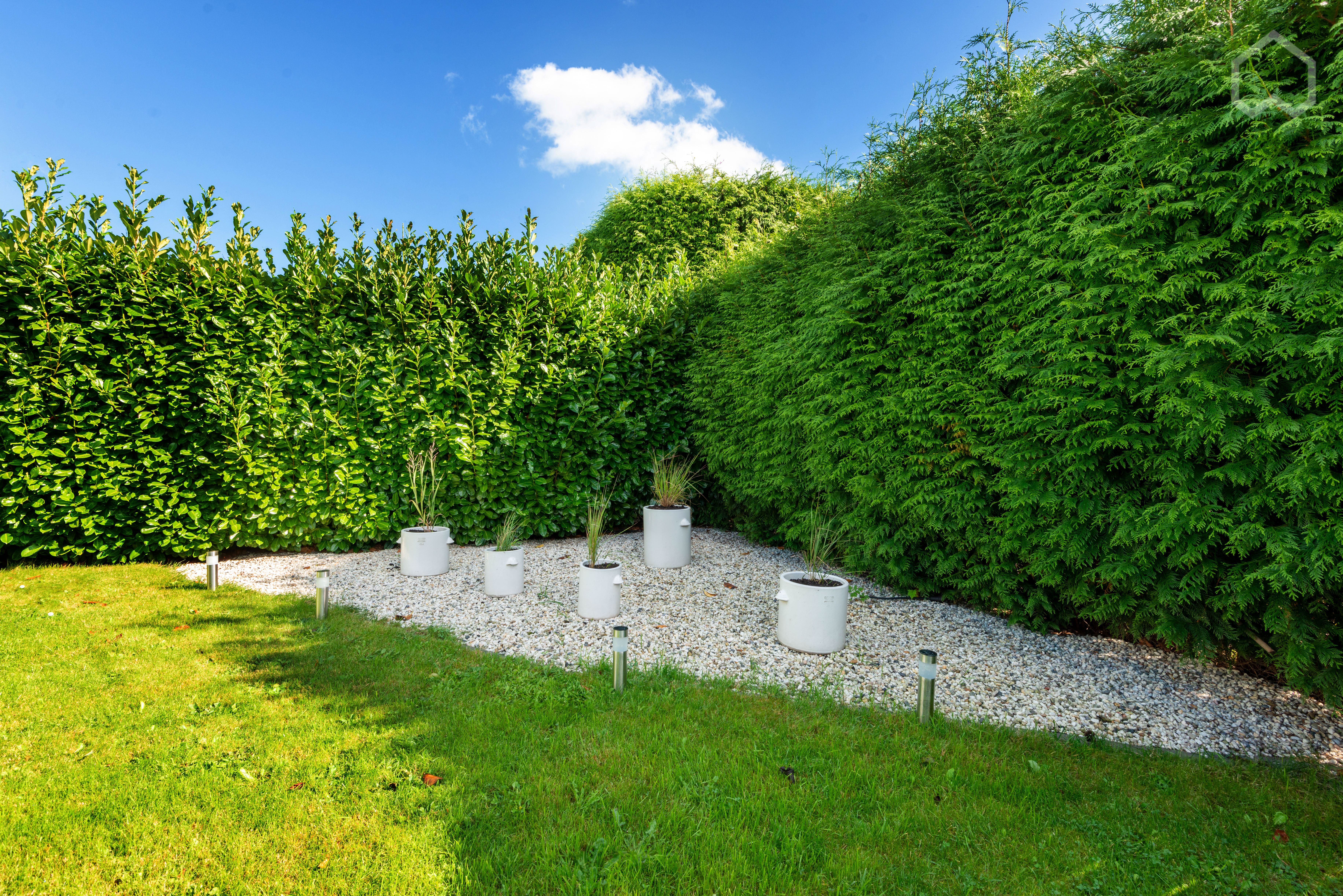 Private Terrace & Garden - Fully Furnished 2 Bedroom Apartment In Kleve  -  Private terrace & garden - Fully furnished 2 bedroom apartment in Kleve  - Gallery -  3