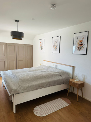 Awesome, perfect apartment in Sipplingen - Gallery - 5
