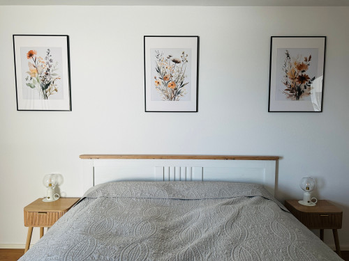 Awesome, perfect apartment in Sipplingen