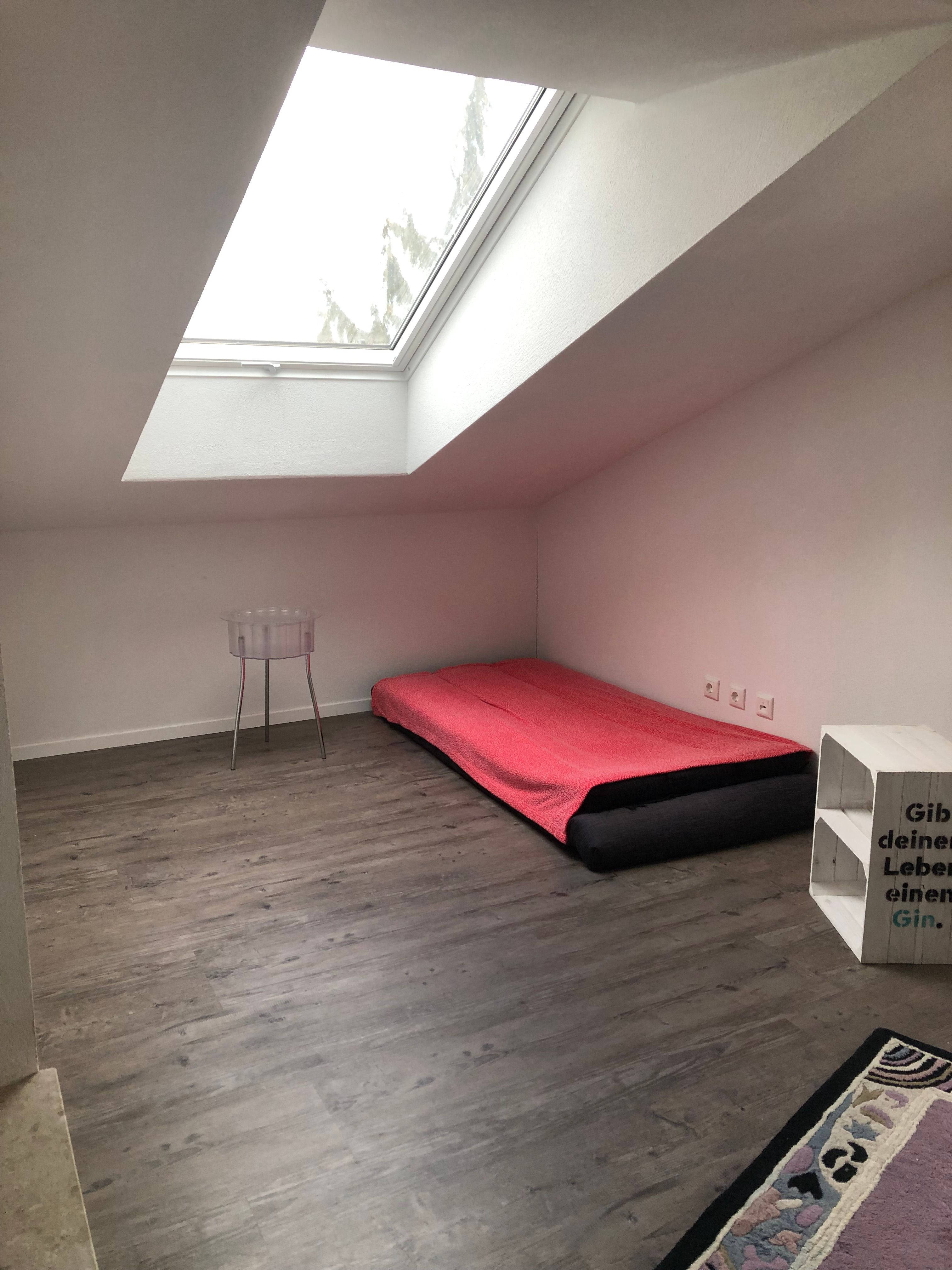  2 Room Apartment Sunny And Spacious  -  2 room apartment sunny and spacious  - Gallery -  10