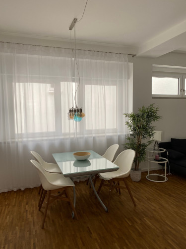 Bright, fantastic apartment in Speyer